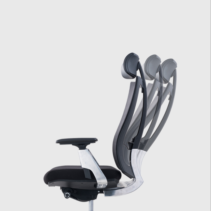 Ergonomic Ero Chair