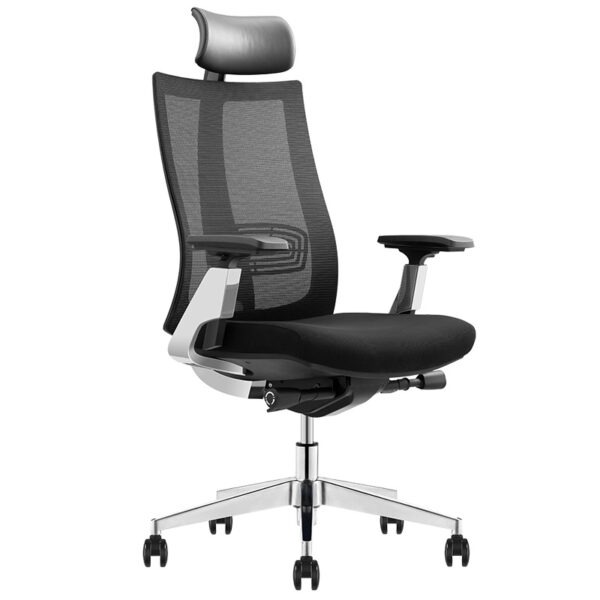 Ergonomic Ero Chair