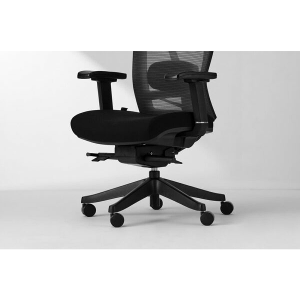 Ghế  ErgoChair Pro Black
