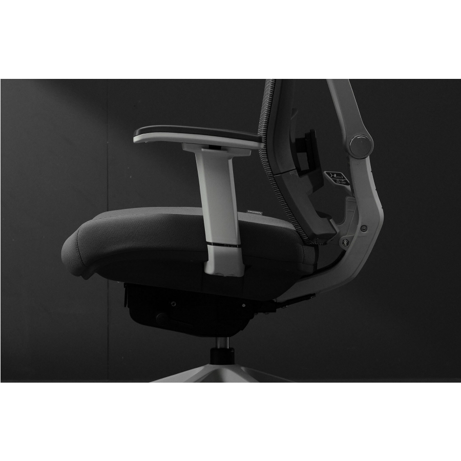 Ghế  ErgoChair Pro Black