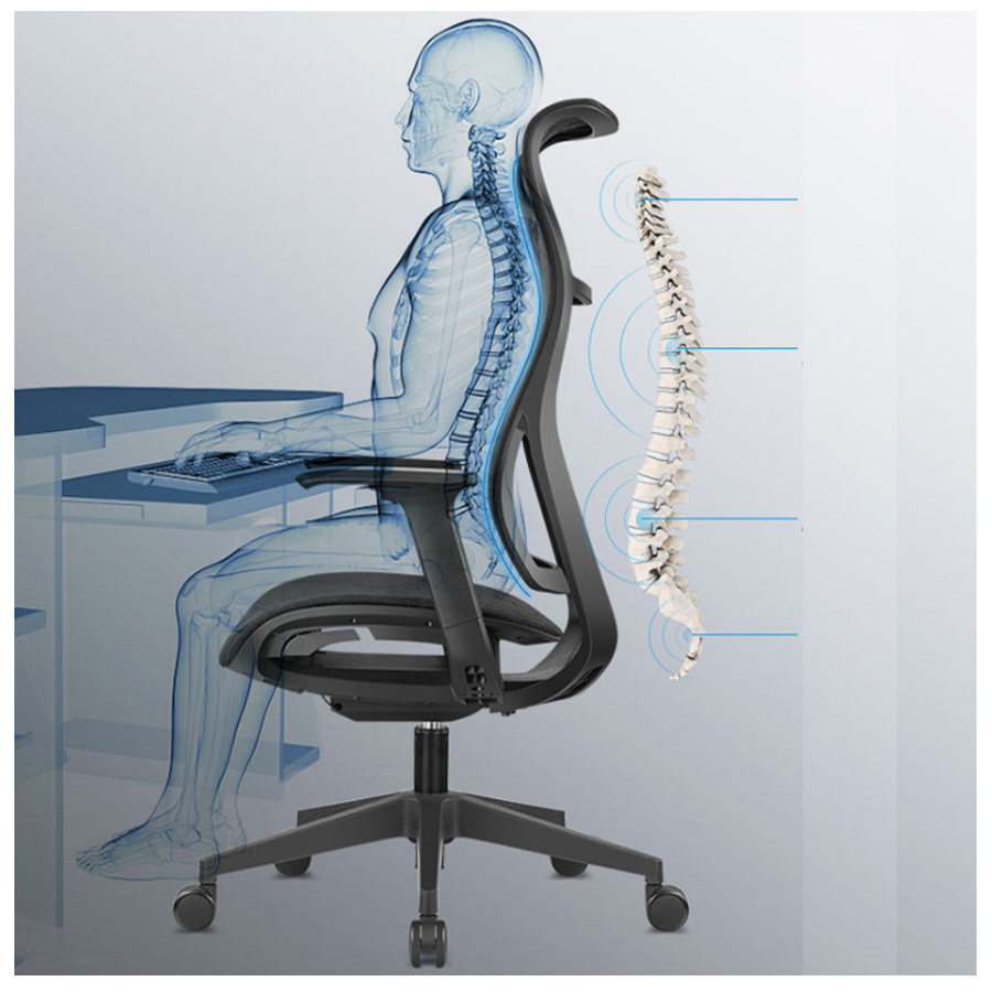 Ghế Ergonomic E3