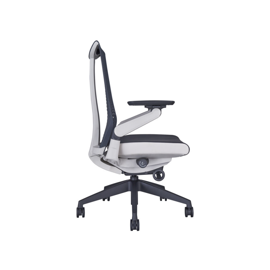Ghế ErgoChair One Pro