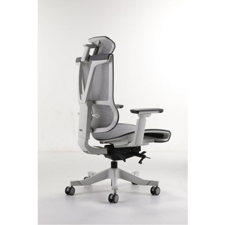Ergochair Pro 2