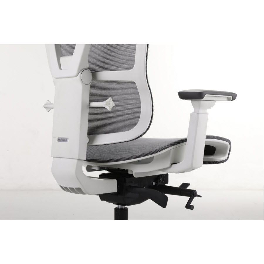 Ergochair Pro 2