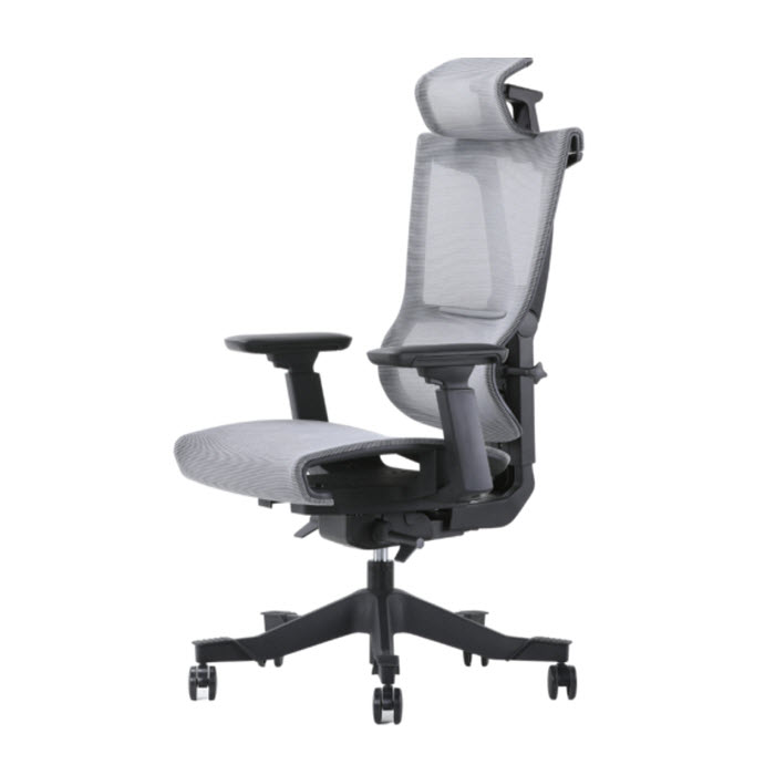 Ergochair Pro 2