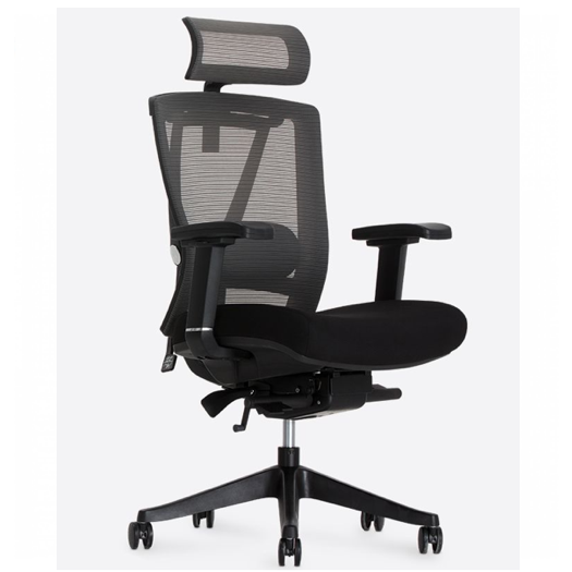Ghế  ErgoChair Pro Black