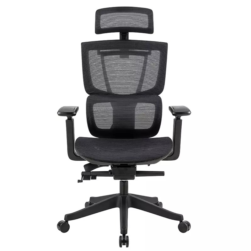 Ergochair pro 1 Black