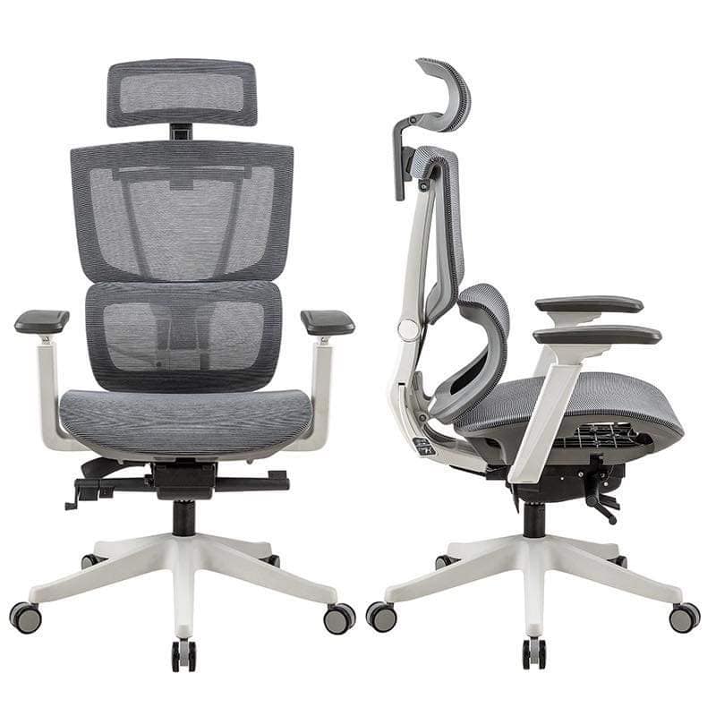 Ergochair pro 1 Gray